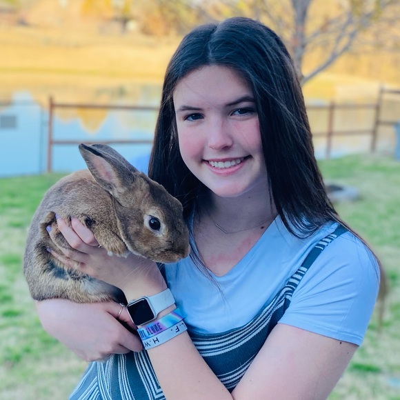 Meet your Posher, Bailey - Picture 1 of 1